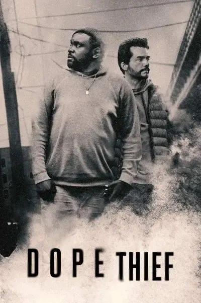 سارق مواد ۲۰۲۵