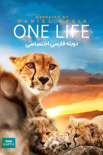 یک زندگی ۲۰۱۱