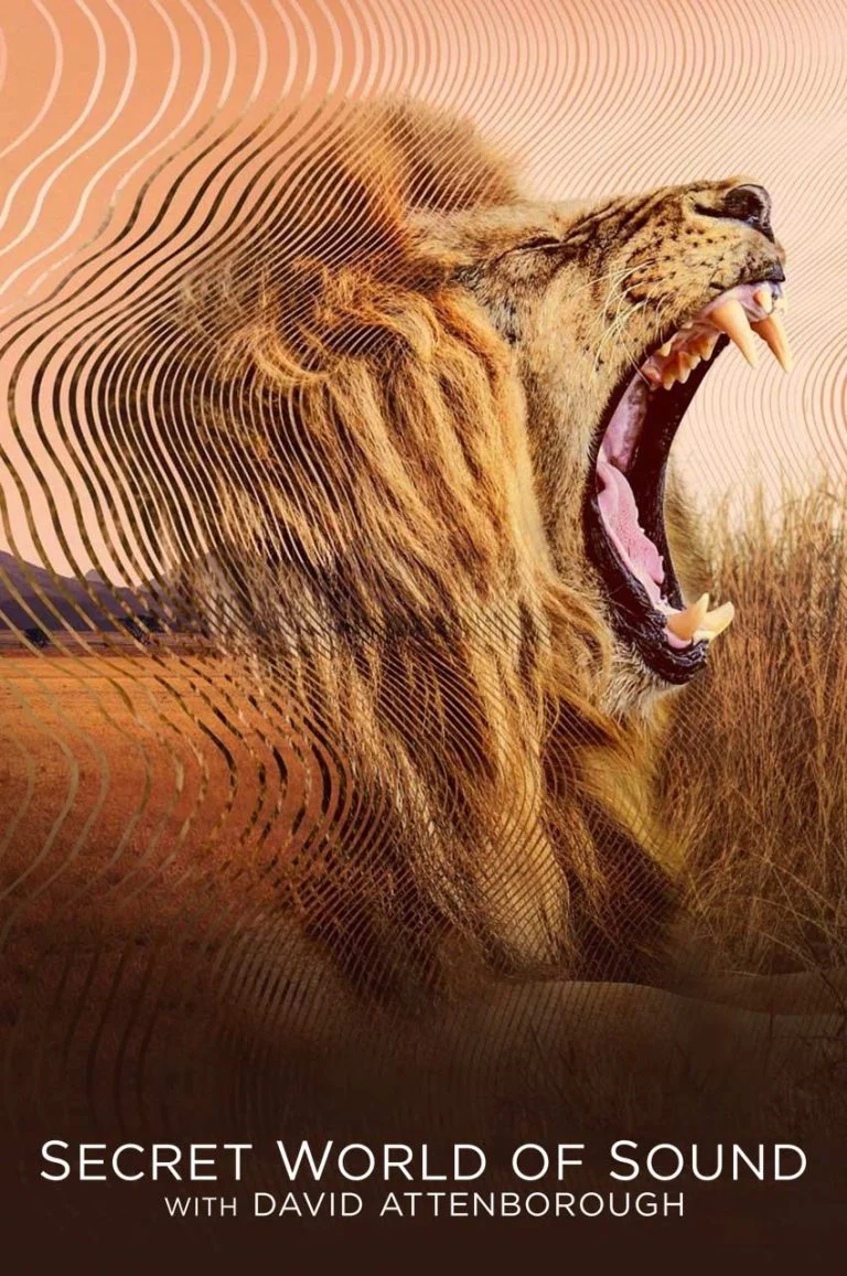 دنیای مخفی صدا با دیوید آتنبورو ۲۰۲۴