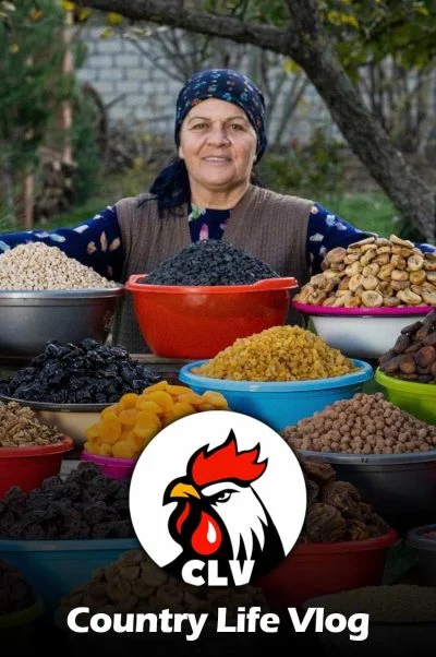 زندگی روستایی 