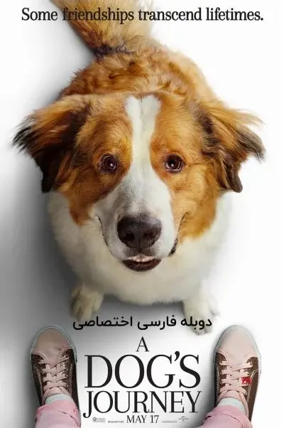 سفر یک سگ ۲۰۱۹
