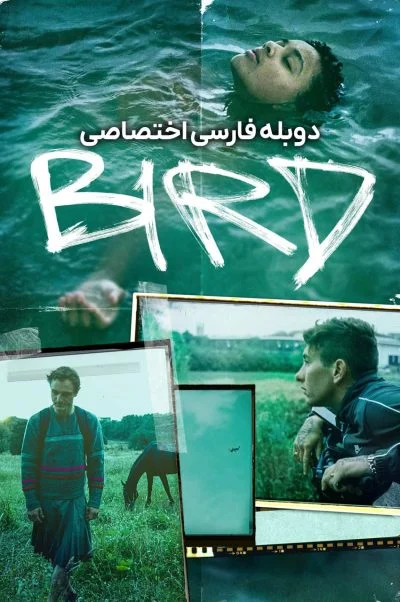 پرنده ۲۰۲۴