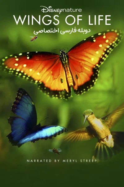 بال های زندگی ۲۰۱۱