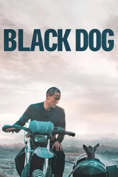 سگ سیاه ۲۰۲۴